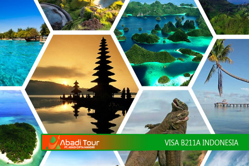 VISA C1 - VISA WISATA SINGLE ENTRY