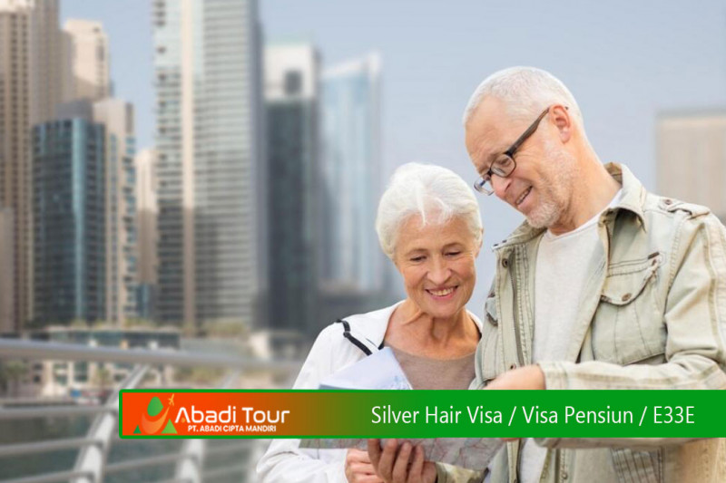 Silver Hair Visa - E33E